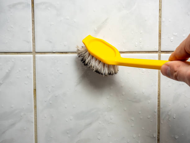 Best Mold Testing and Inspection Services in Eden, TX