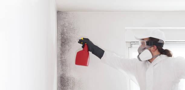 Best Mold Remediation for Specific Building Types in Eden, TX