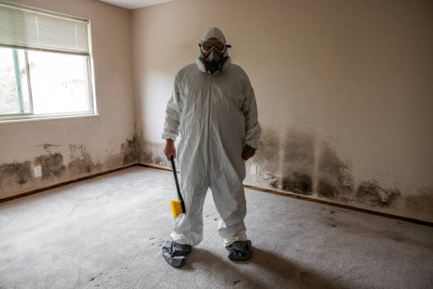 Best HVAC Mold Remediation in Eden, TX