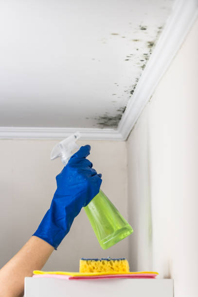 Best Post-Remediation Services in Eden, TX
